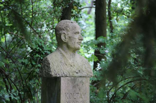 Séta a Sárvári Arborétumban